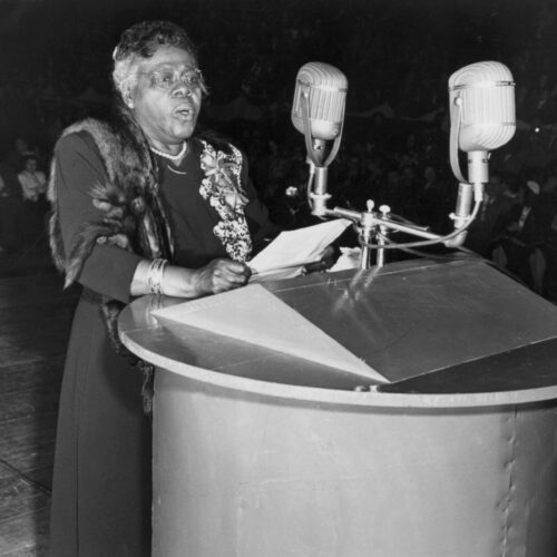 Mary McLeod Bethune stands at a podium with two rectangular microphones. She wears a long dress with embroidered flowers on one side and a fur stole draped over her shoulder. Her mouth is open in mid-sentence and she grips a white paper and gazes out towards the crowd. She has a bangle on her wrist and is wearing thin framed glasses. A gray streak of hair cascades on side of her curled hair that is pulled back into a bun. A seated audience surrounds the wooden stage where she stands.
