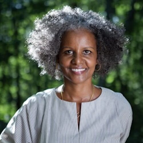 Sebene Selassie smiling, wearing a light gray and white thin-striped dress with her hair long in an Afro.